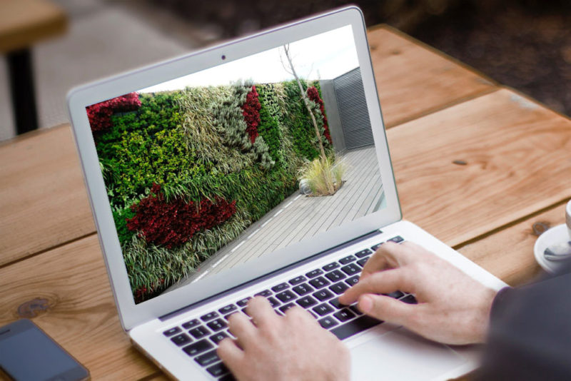 Jardines Verticales - Modalidad Distancia